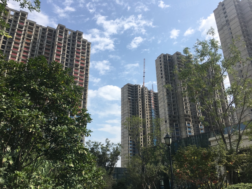 买房买了6楼的惨痛教训,买了22楼后悔了怎么办