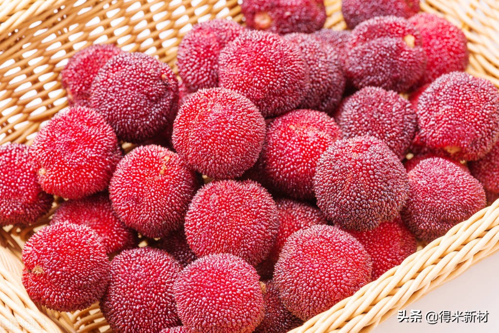 哪一种杨梅能吃哪一些杨梅不能吃,什么杨梅冬天可以吃