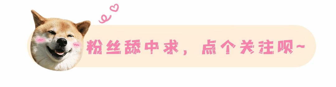 ikuai软路由怎么设置多个ip,ikuai软路由设置域名