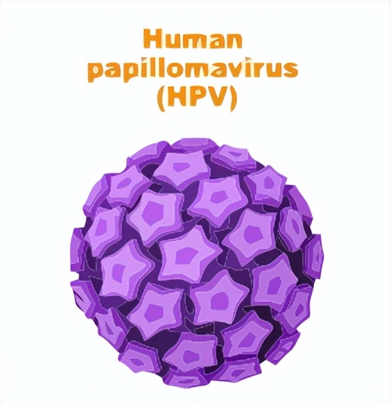 预防宫颈癌定期普查,宫颈防癌筛查是怎么操作的