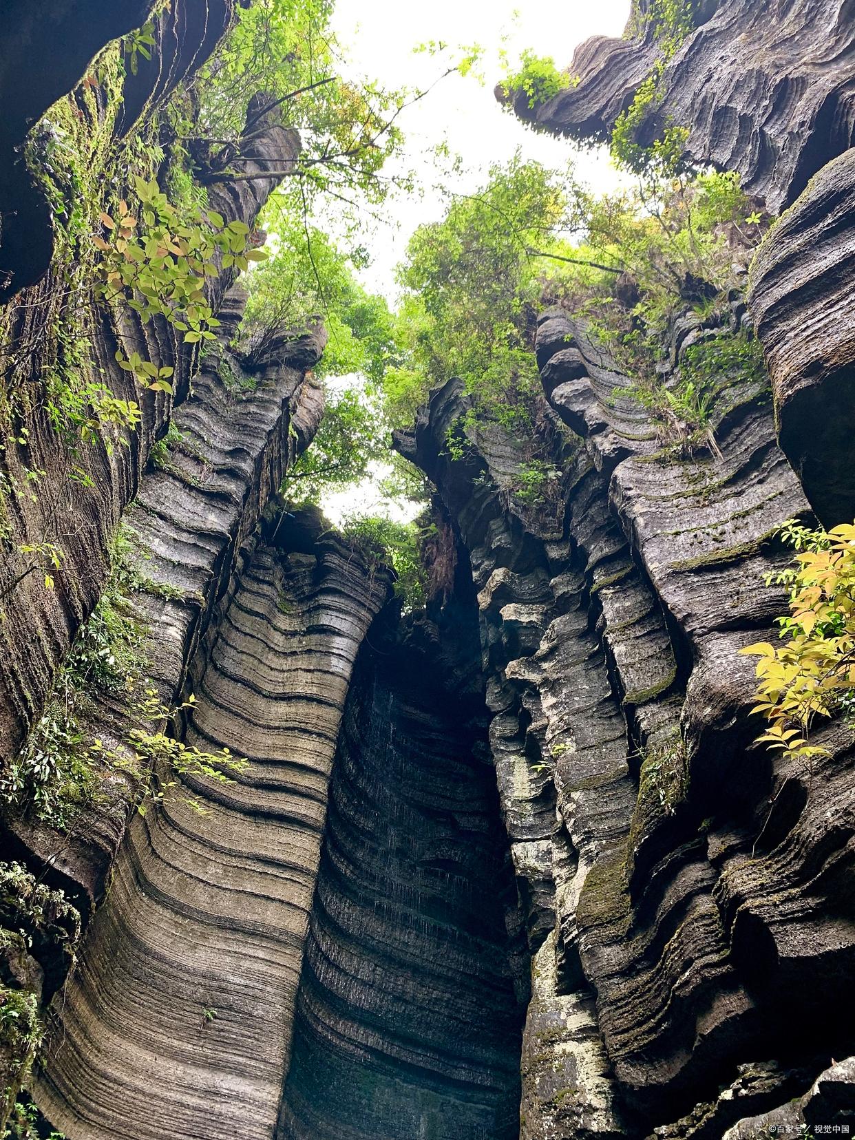 恩施旅游十大必去旅游景点有哪些,恩施地心谷北纬38度的浪漫