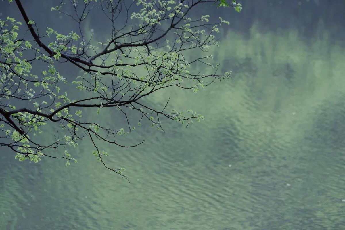 关于立春的诗词精选10首,立春的诗句20首