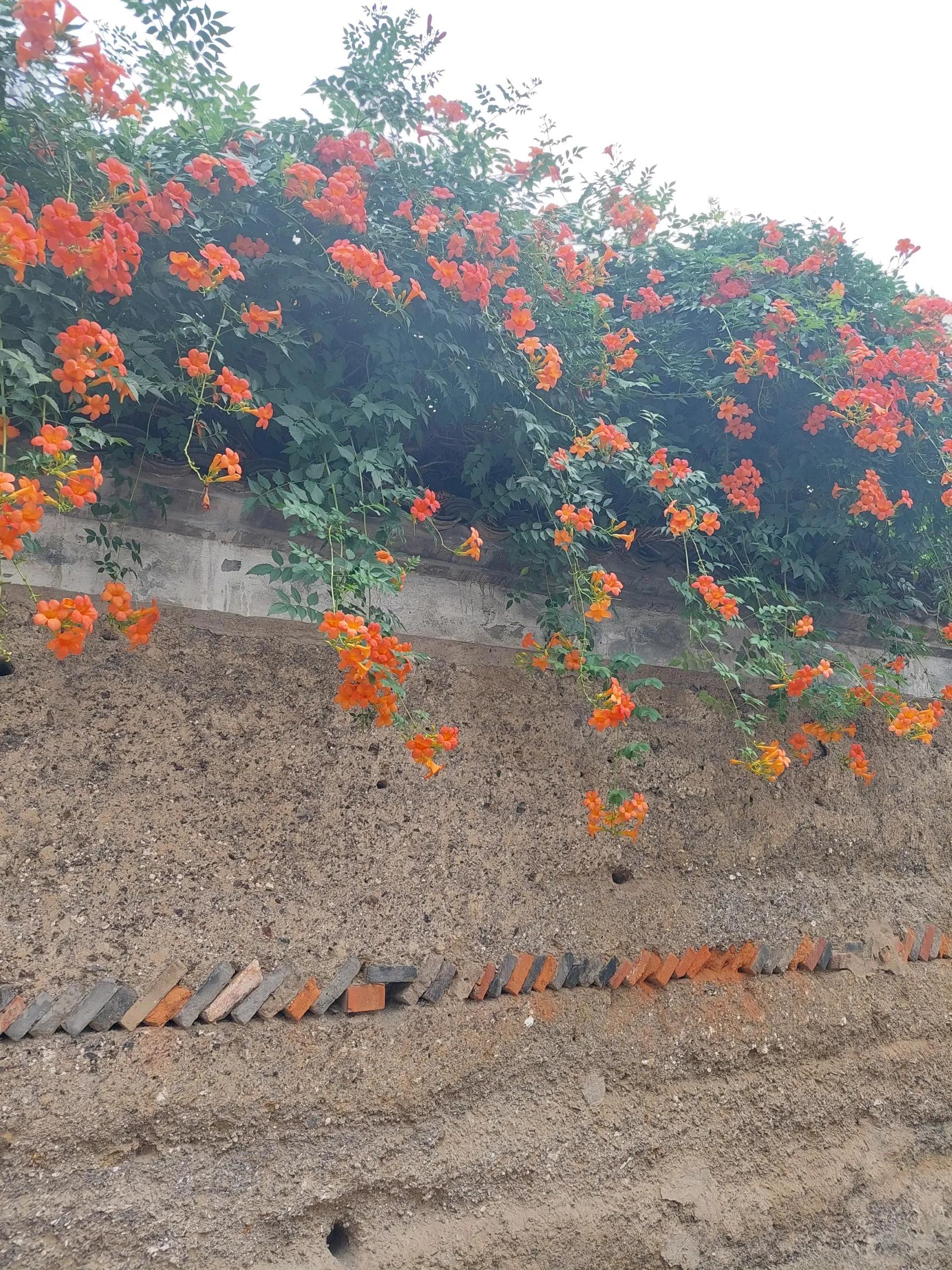 猪八戒职场生存法则,猪八戒的职场智慧