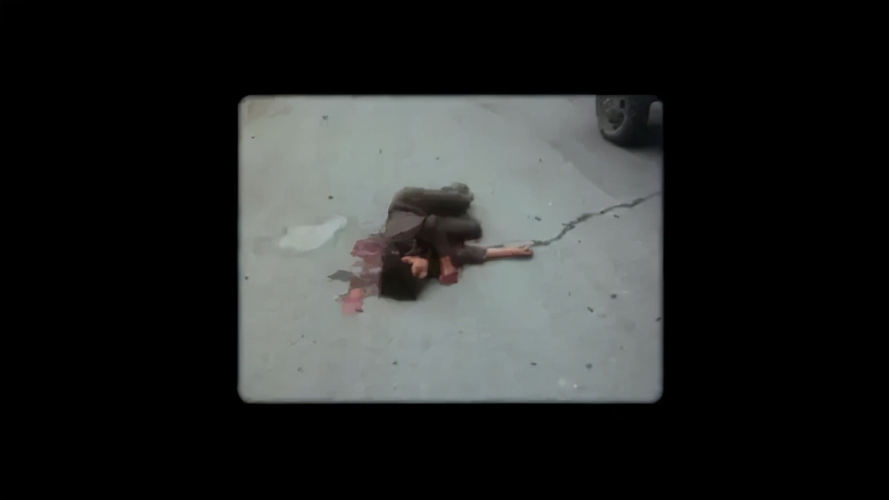 近期最好的5部新片,最值得看的十部新片