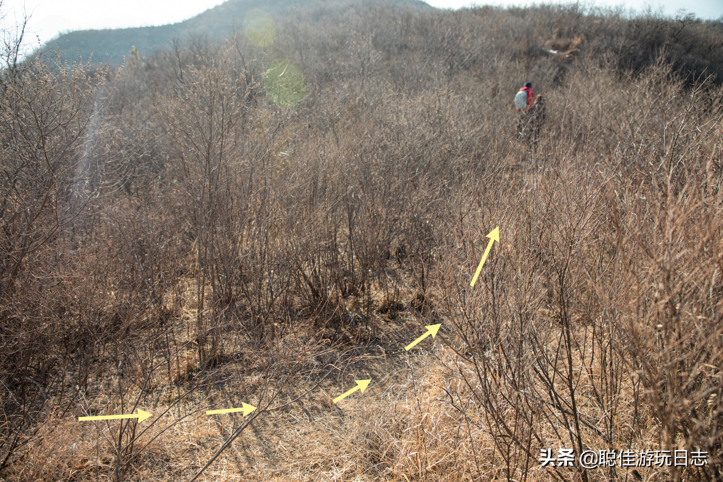 北京徒步龙潭峡,北京门头沟双龙峡有冰瀑吗