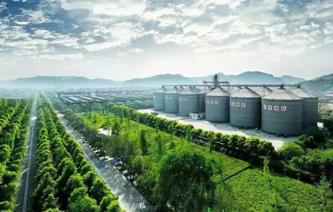 四川第一人口镇,四川第一市