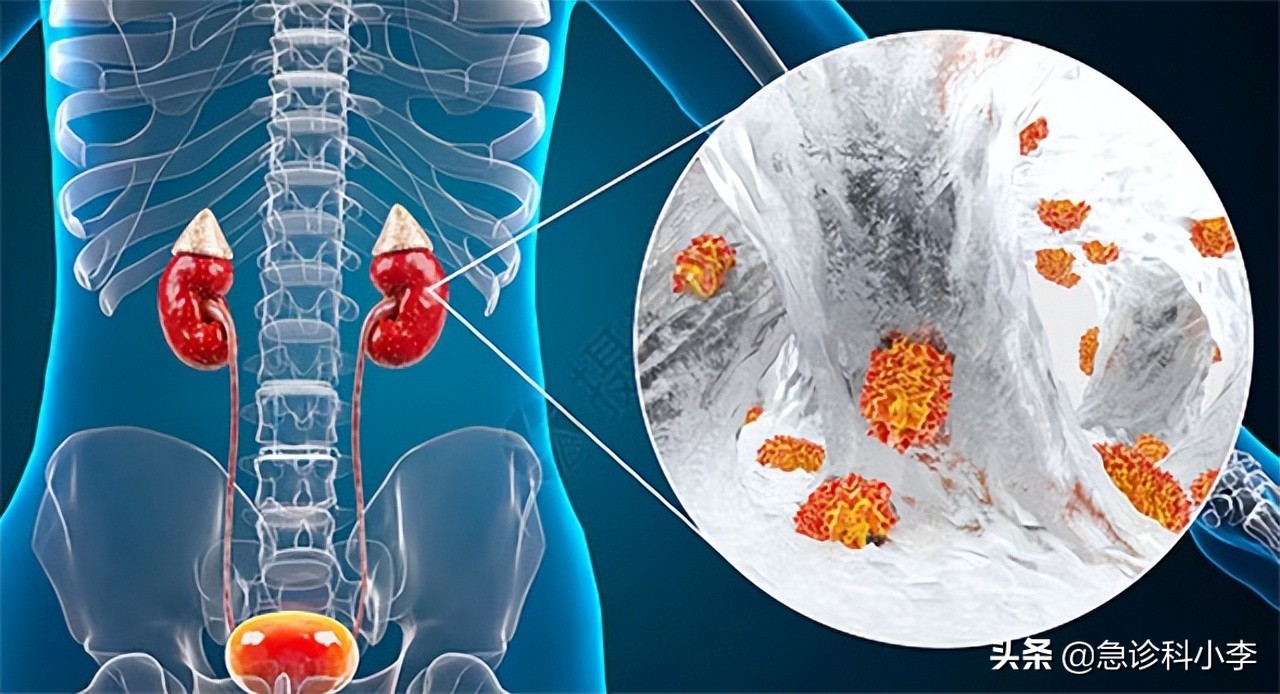三种中药已被国家药典禁用,三种药已经禁用