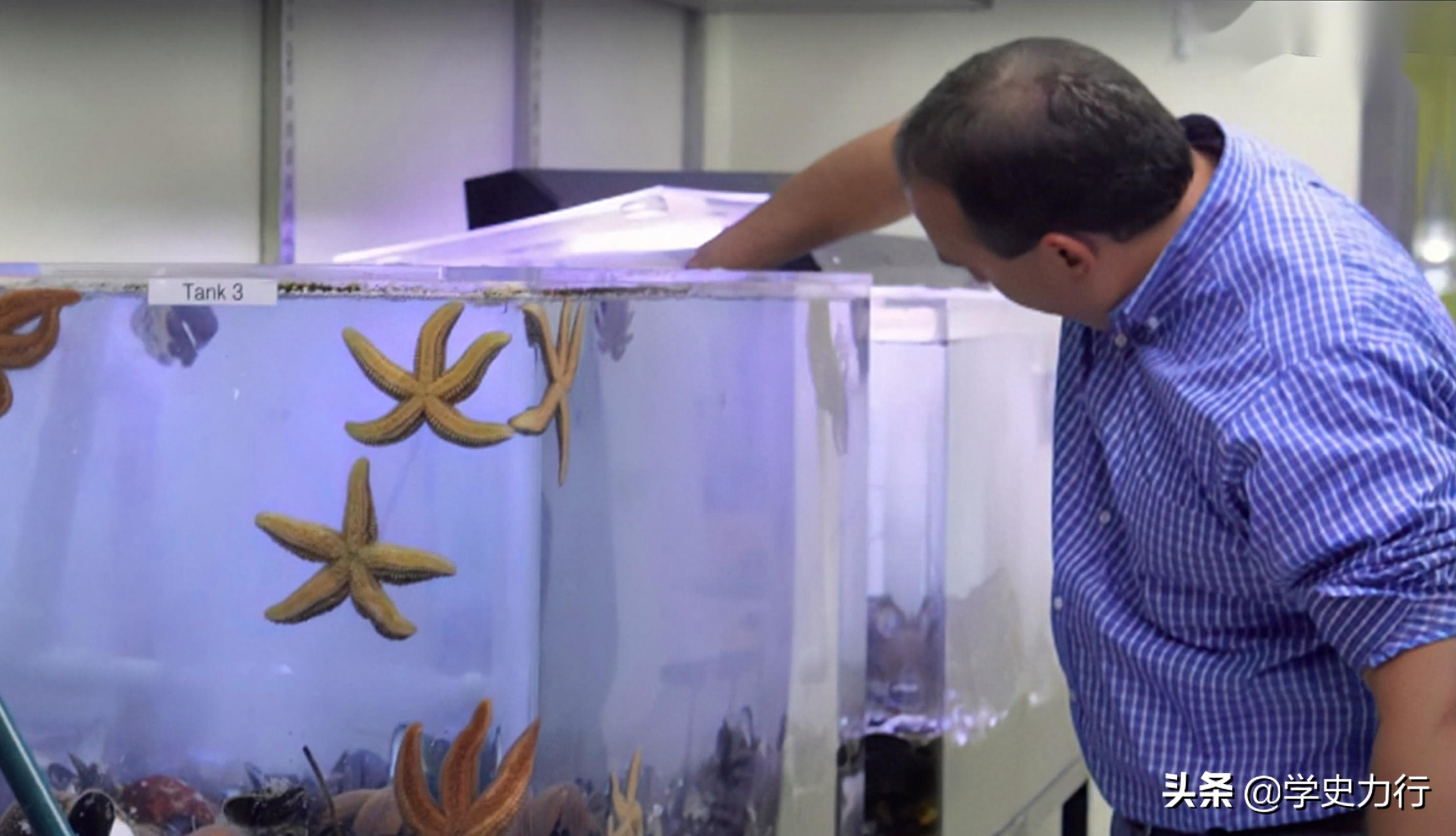 2011年，美国生物学教授感觉嘴里有异物，取出后发现是条罕见虫子