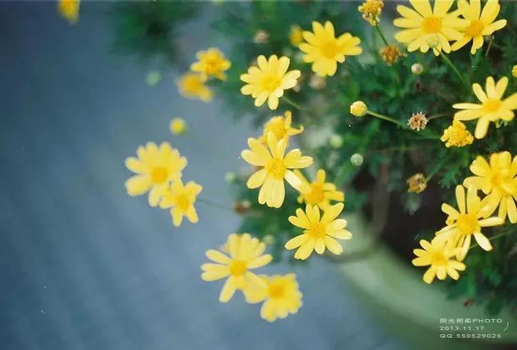 蓝颜红颜小说全文阅读,蓝颜红颜阅读