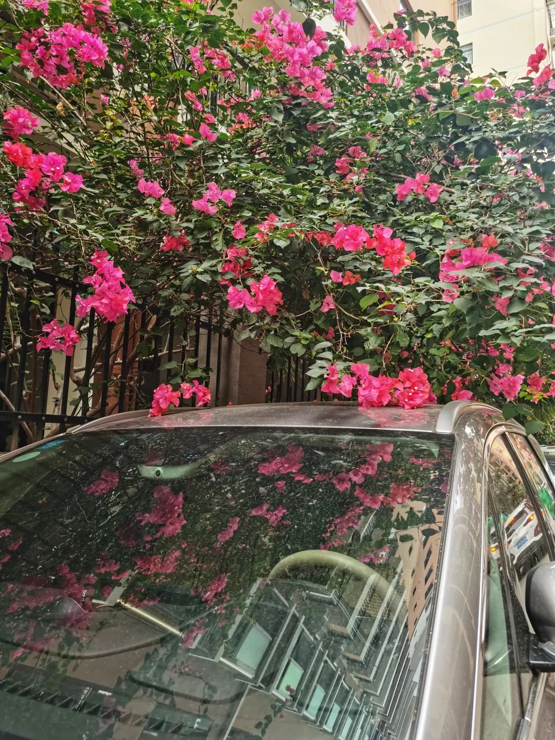 旅居海南陵水,旅居海南掠影