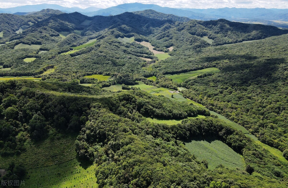 狮子座女生最在乎的男生的细节,狮子座女分手后还在乎对方的表现