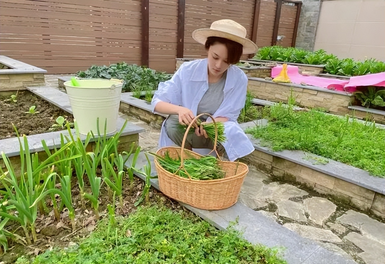 张馨予之前被黑是真的假的,曾经被全网黑的张馨予