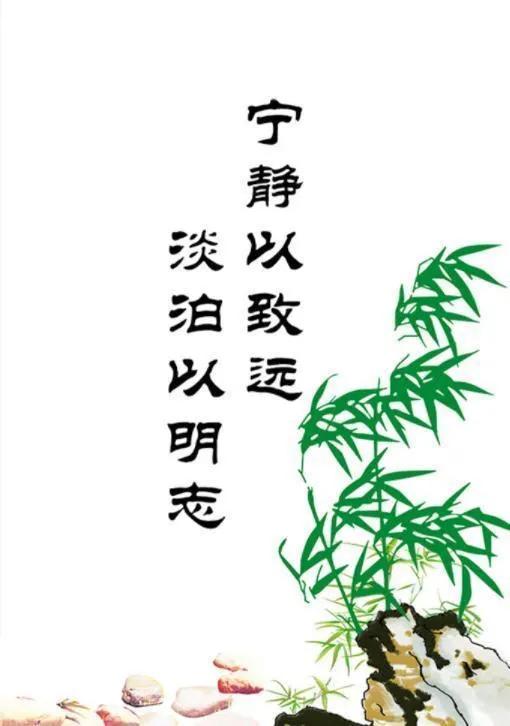 龙哥实战全集视频,龙哥实战教学完整版