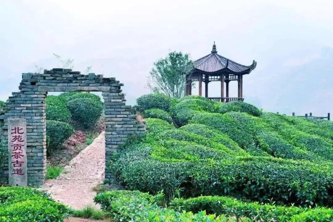 宋茶时代价格,宋茶中国茶文化的巅峰