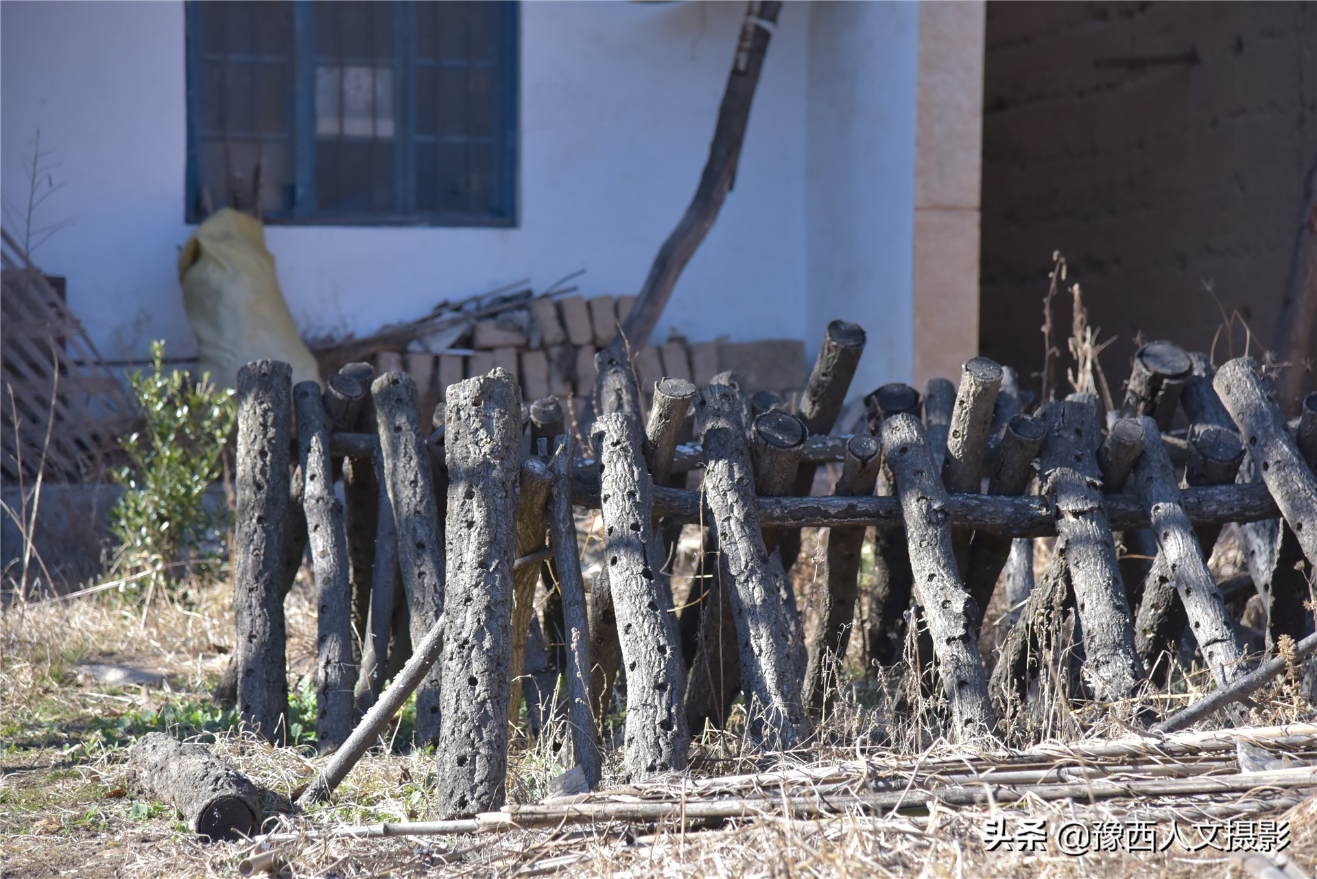 孤山坟墓葬在哪里好,孤山上的坟墓