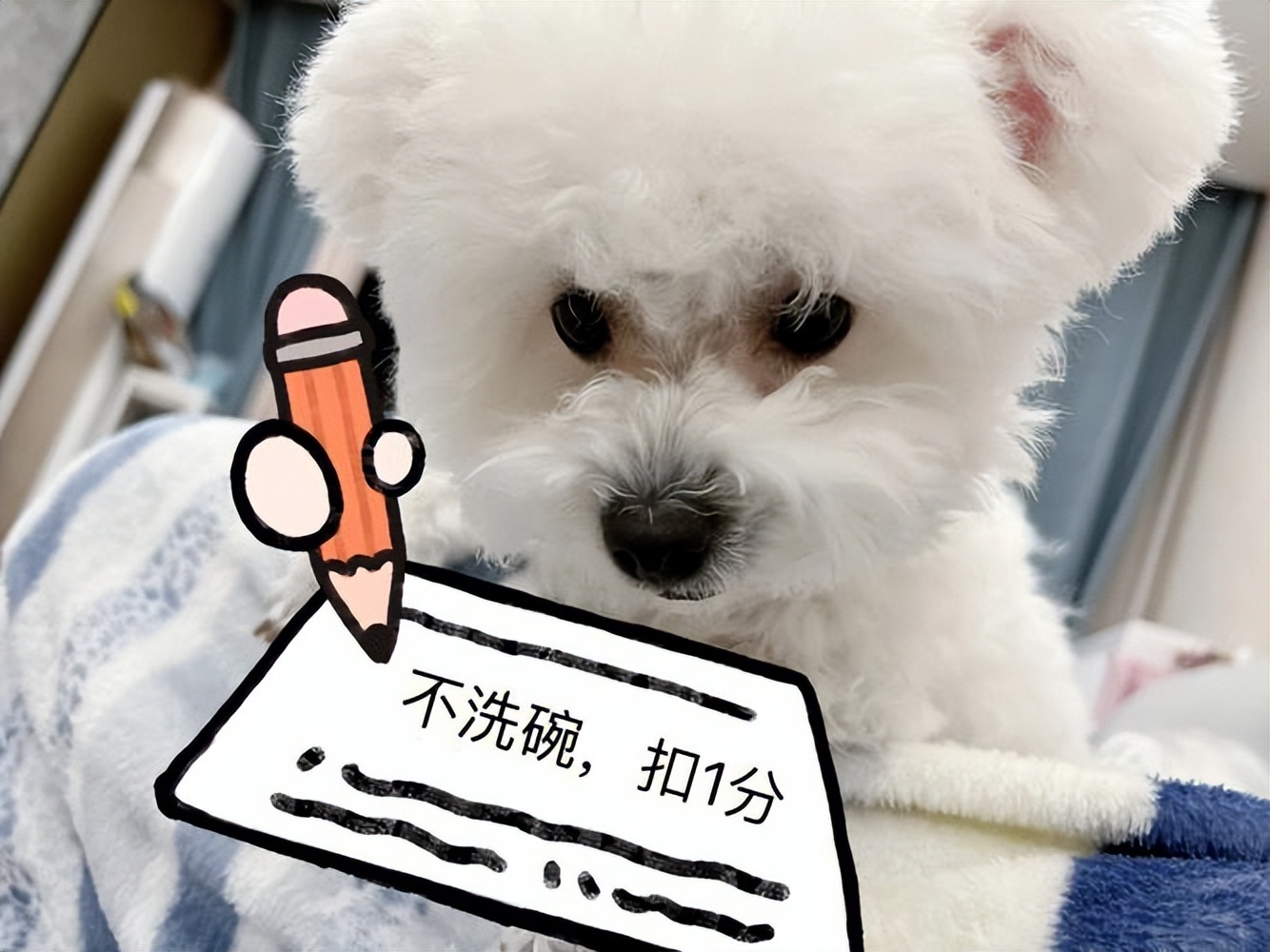 狗狗总喜欢答不理我怎么办,狗狗很依赖你肯定会有这5种行为