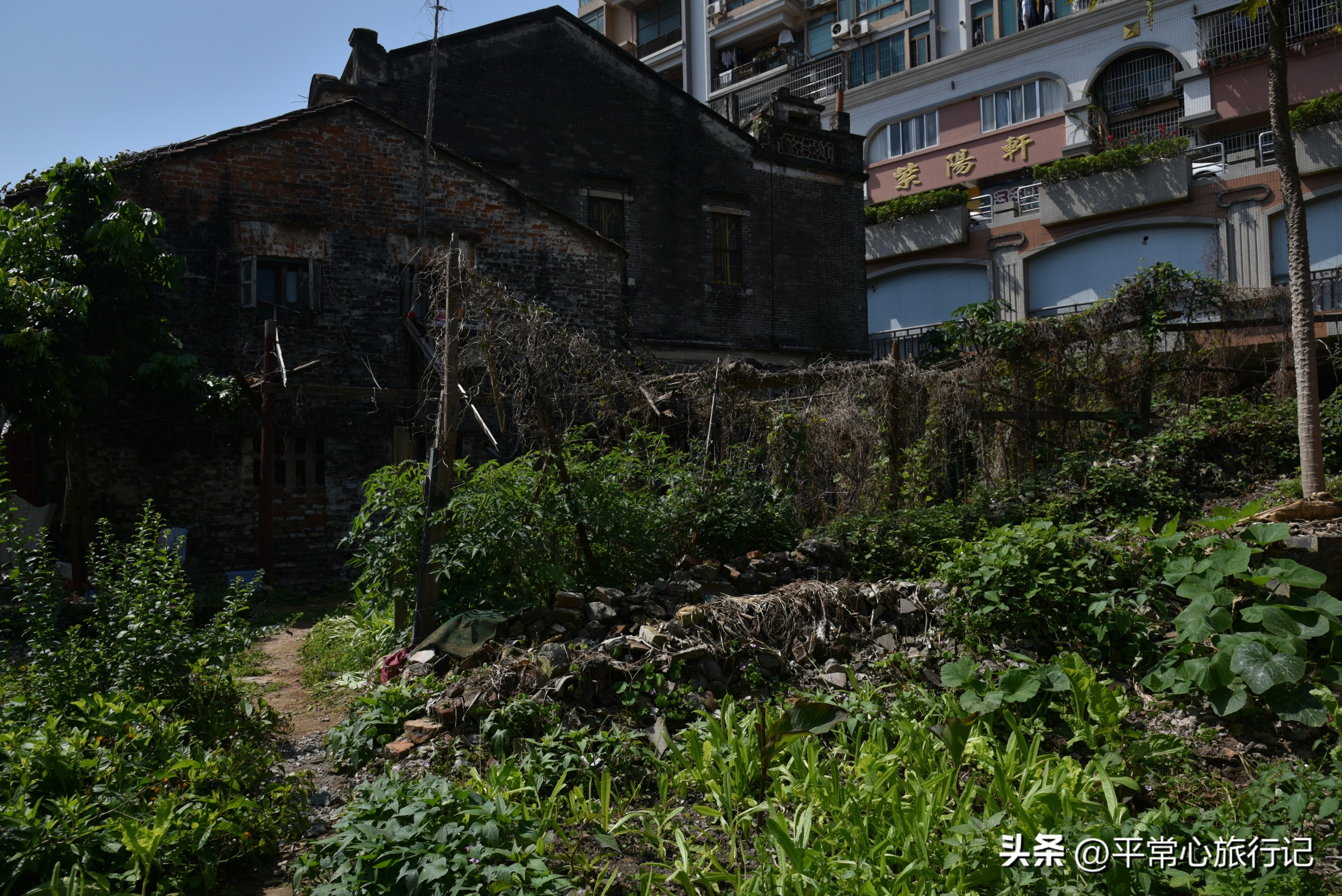 狂飙江门取景地打卡旧厂街,江门三十三墟街景点介绍