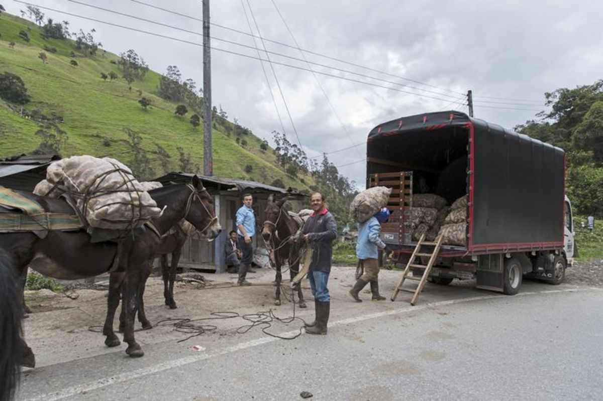 运输成本36元/公里，在哥伦比亚开卡车堪称公路版绝地求生