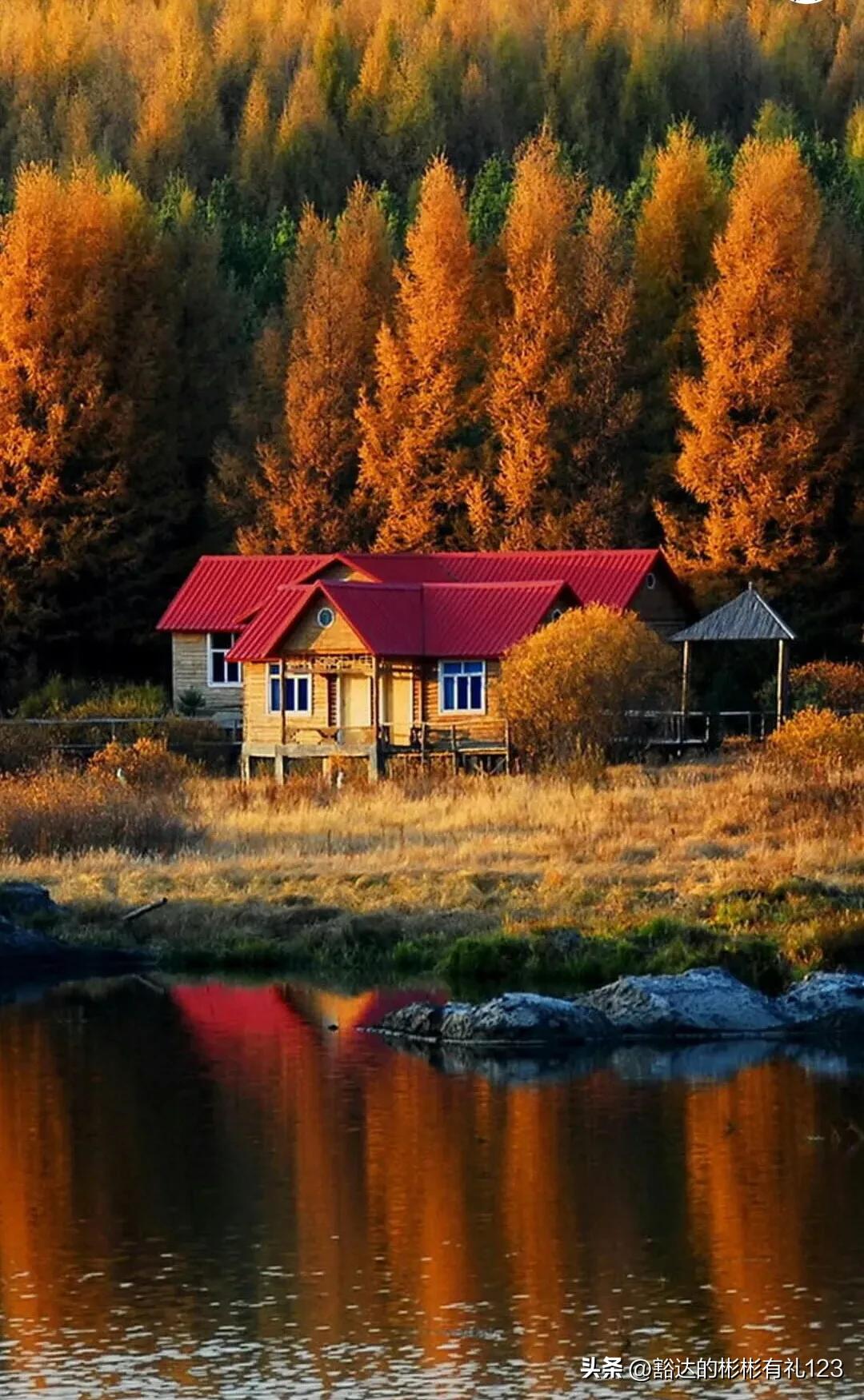 难得一见绝美一清二楚郁金香壁纸,难得一见雪景壁纸