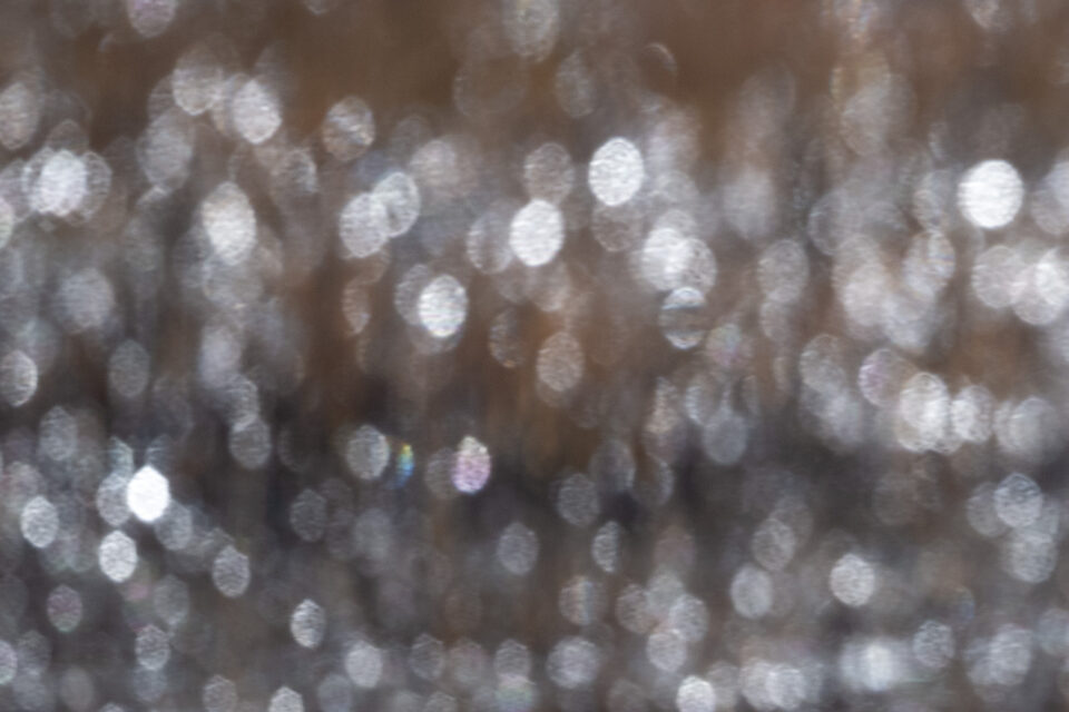 尼康Z800mmf/6.3VRS镜头深度评测