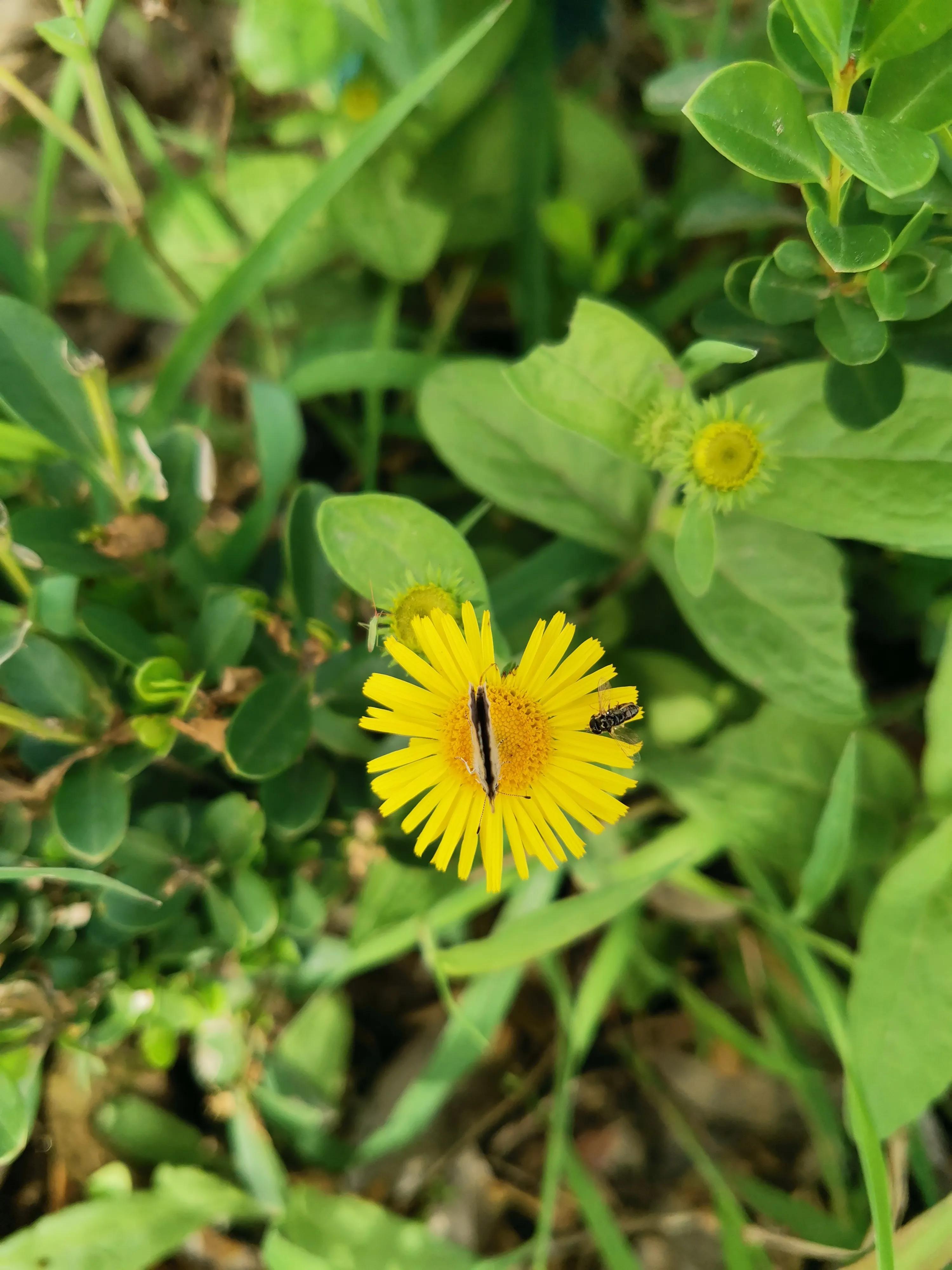 云水书法作品欣赏,云水堂楹联