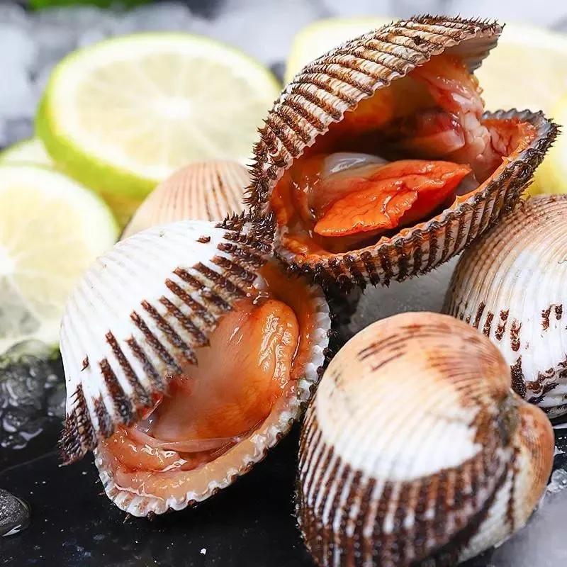 丹东东港旅游攻略自由行,丹东避暑游玩的地方推荐