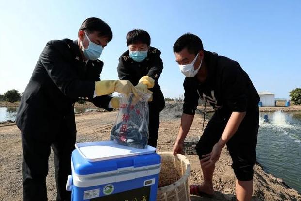 中国鳗鱼是怎样崛起的 (中国产鳗鱼冒充日本鳗)