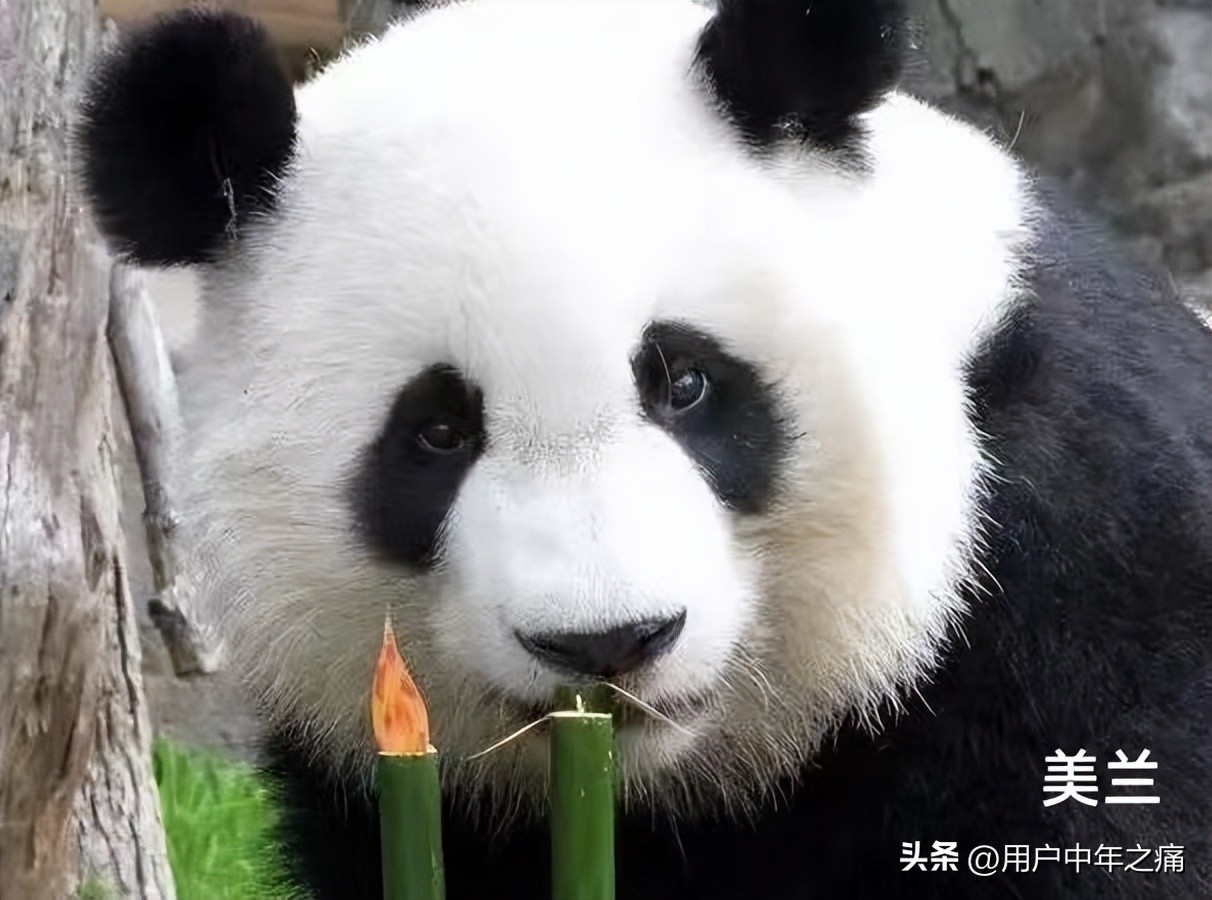 天之骄女是哪一年的,天之骄女重生归来小说