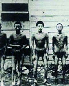 山神？还是野人？那个在日本荒原上漂泊十三载的男子，到底是谁