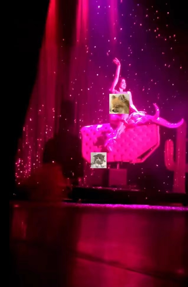 当红女星疯马夜总会跳脱衣舞是艺术？