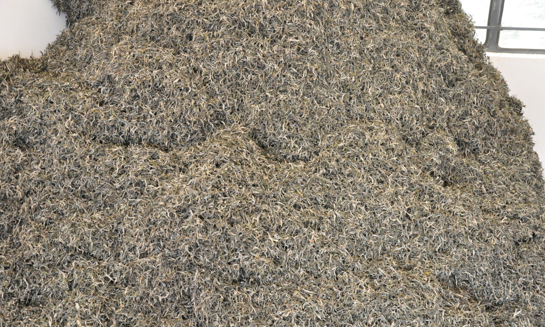 网购茶叶哪个网站买比较好,网购茶叶最靠谱是哪个平台