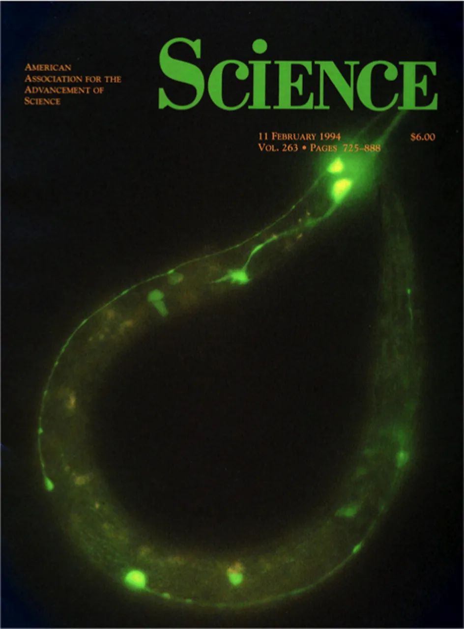 要永远相信光！借1.6亿年前的微光，3个人点亮了这个世纪