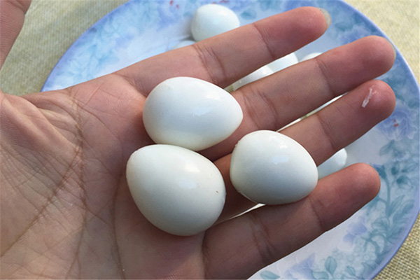 鸽子蛋与鸡蛋区别,鸽子蛋与鸡蛋的区别