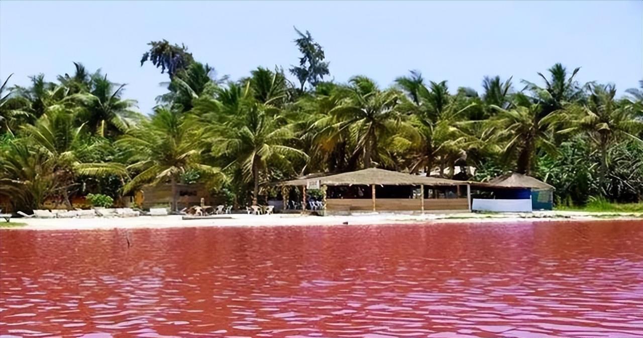 塞内加尔旅游真实感受,一起来看看真实的古巴