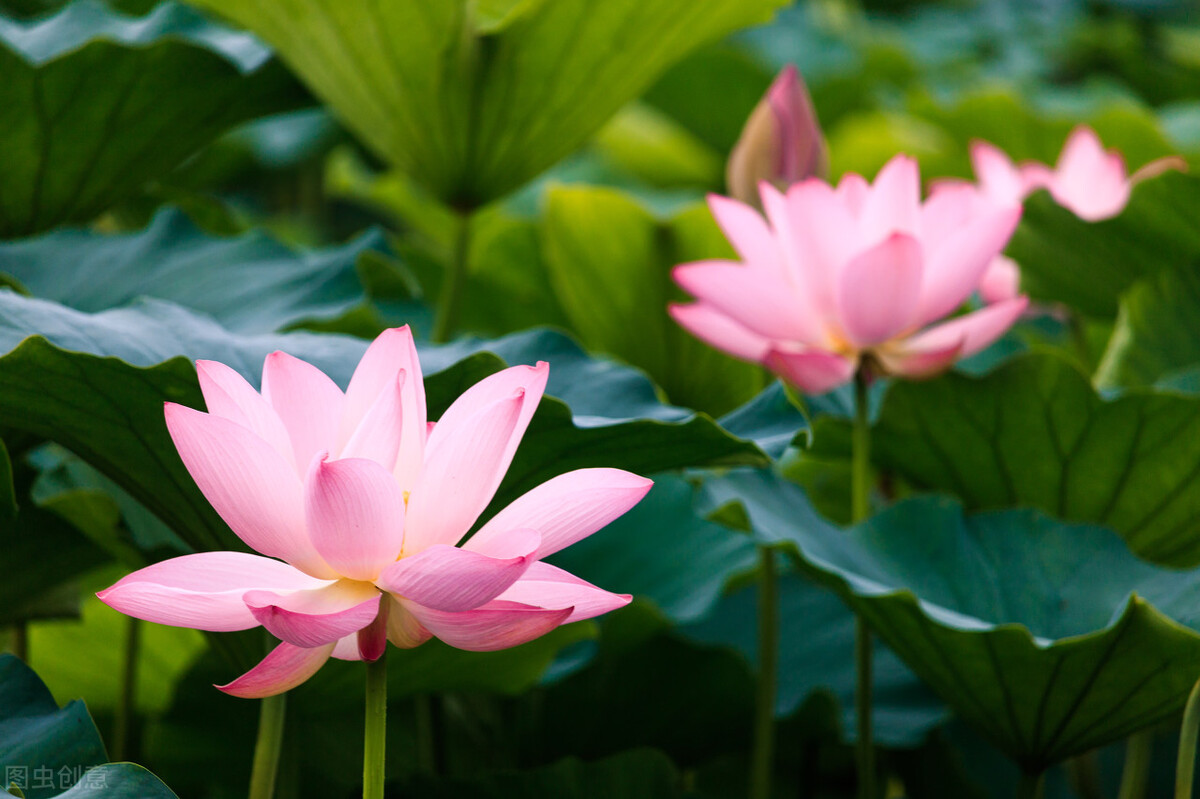 用护肤品皮肤有刺痛感怎么回事,换护肤品后皮肤有刺痛感