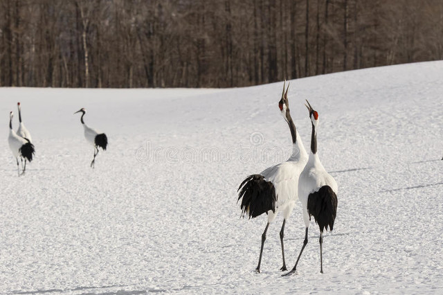 一个人越来越不想说话是有病吗,一个人变得不想说话不想和人交往