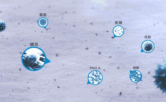 为什么家里毛絮很多如何处理,家中毛絮频频出现