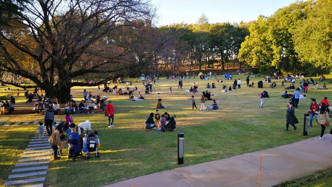 公园商业中心设计,公园创意商业街区空间设计