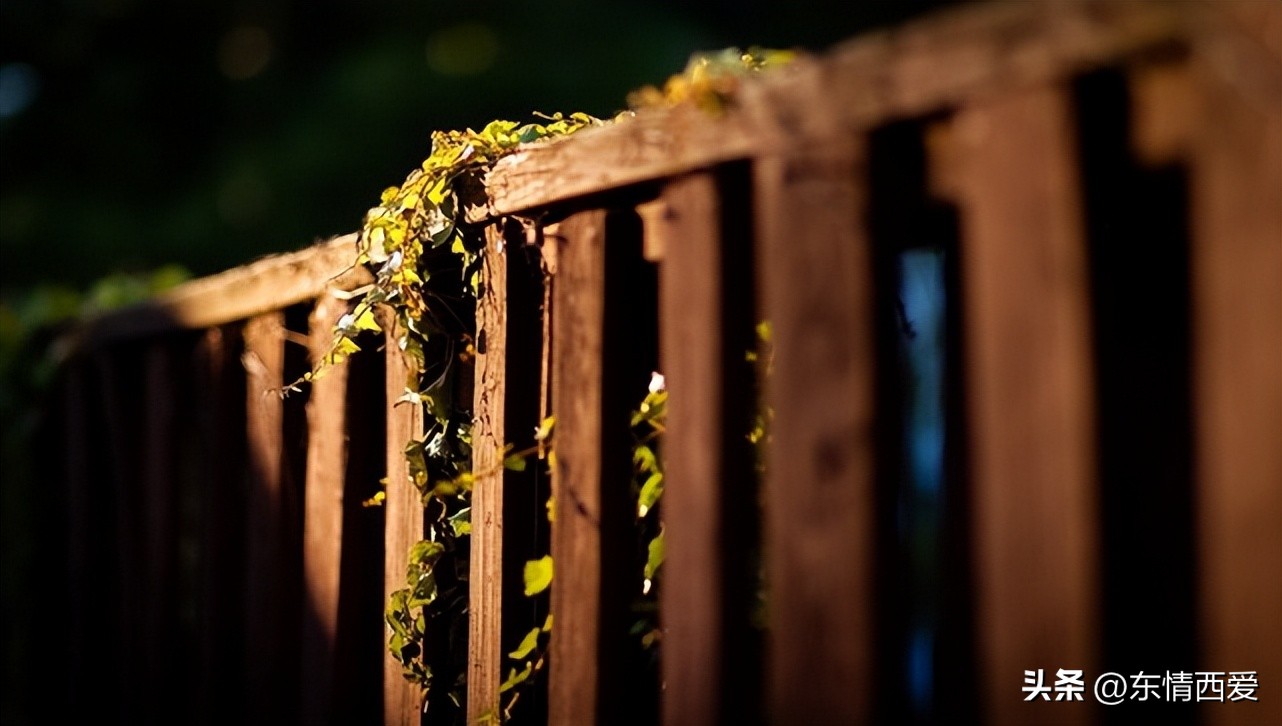 最令人心痛的伤感句子,心痛流泪的伤感的朋友圈句子