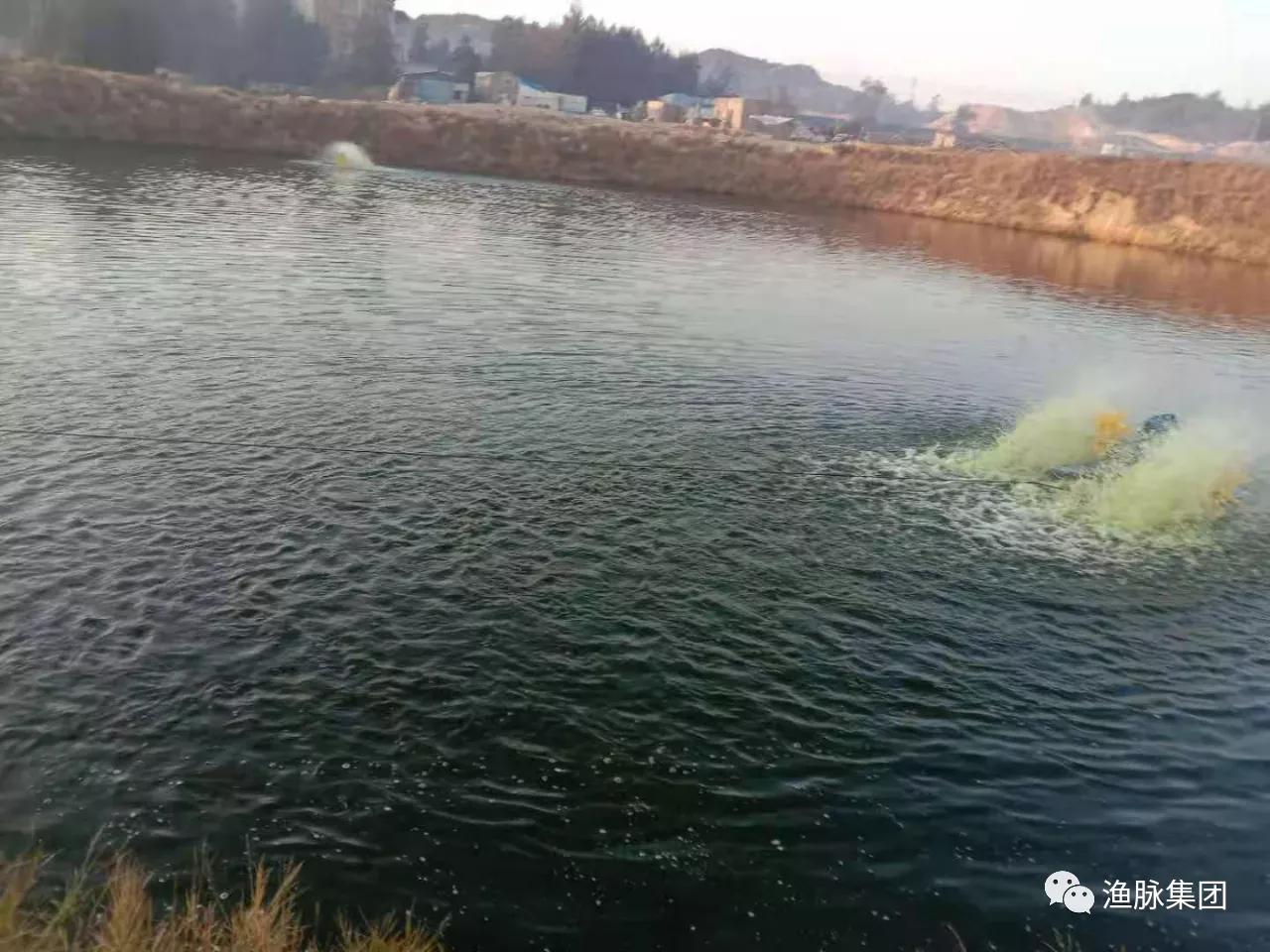 水产聚维酮碘能与苯扎溴铵合用吗,聚维酮碘和二氯异氰能一起用吗