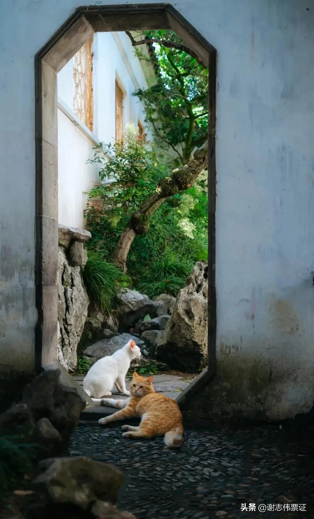 独特的苏州,苏州经典门