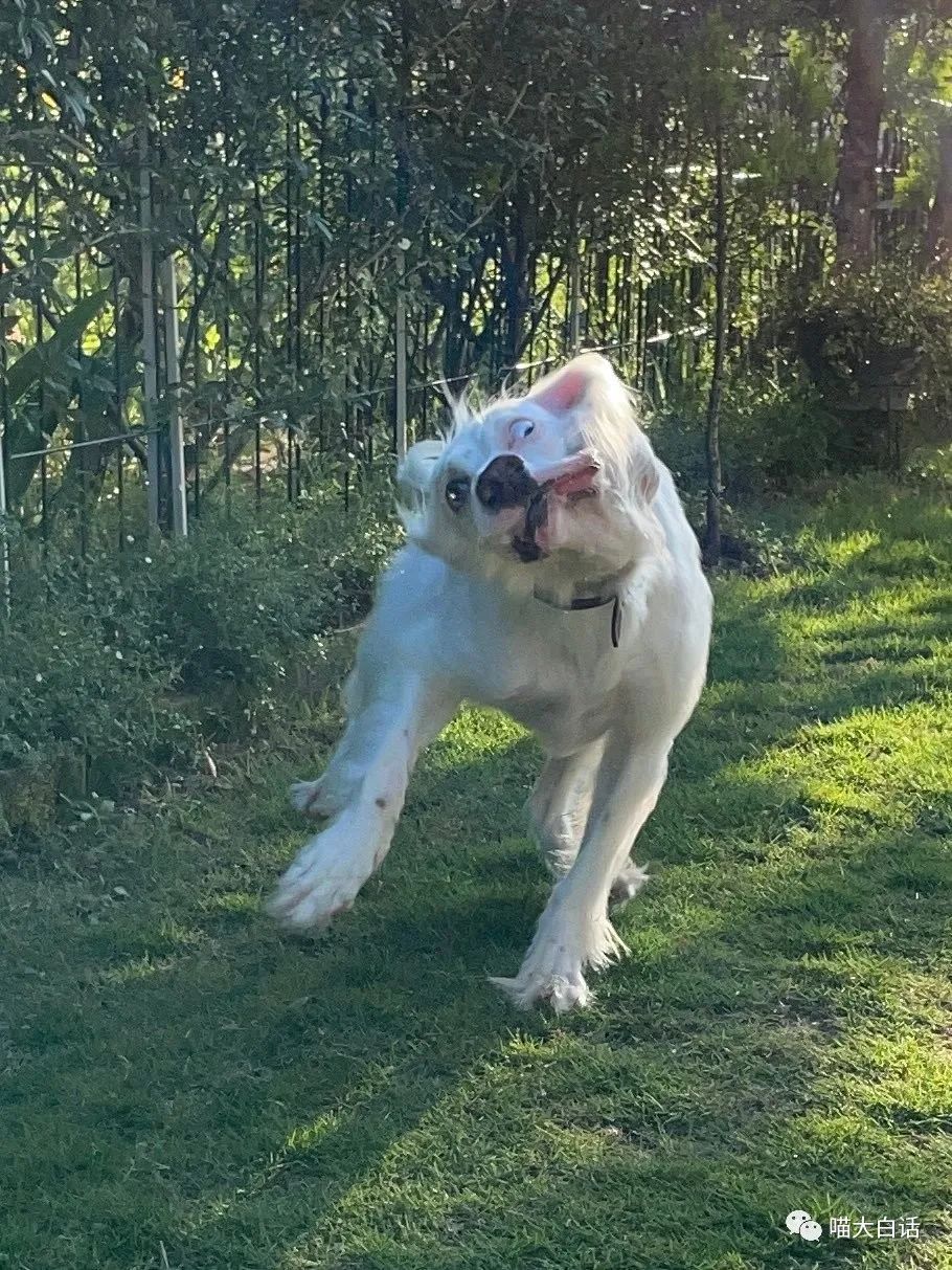 背德文学啥意思,背德文学是什么