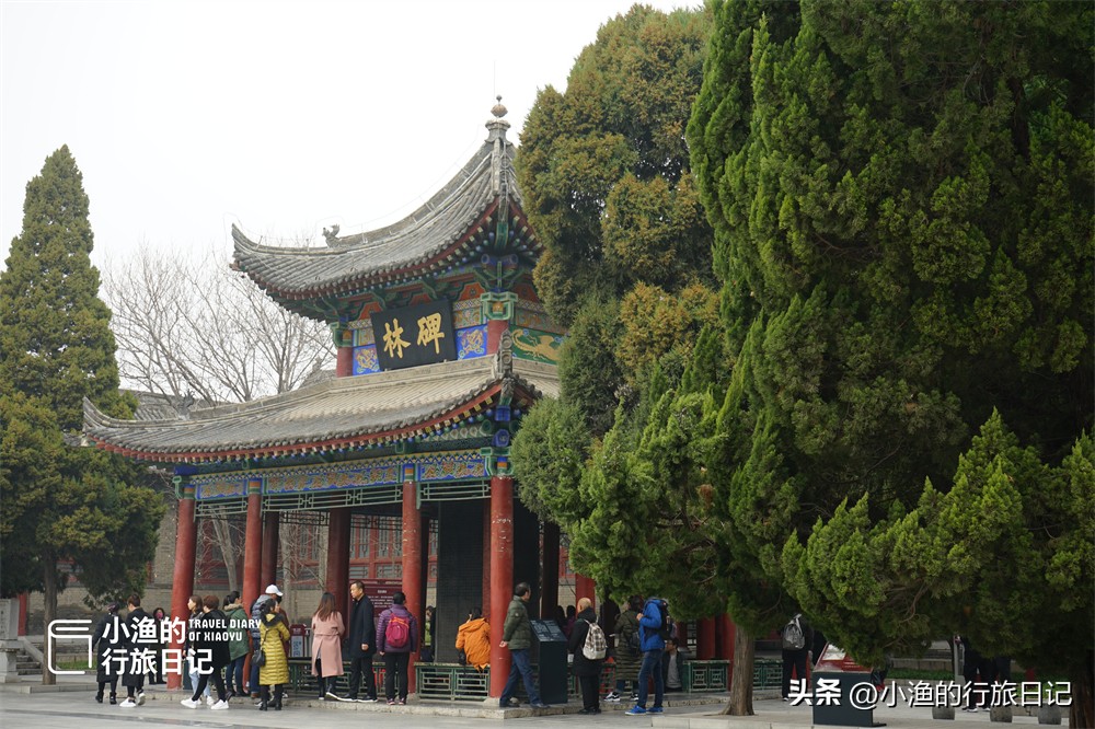 碑林博物馆西安旅游五大必去景点,西安博物馆参观攻略一日游