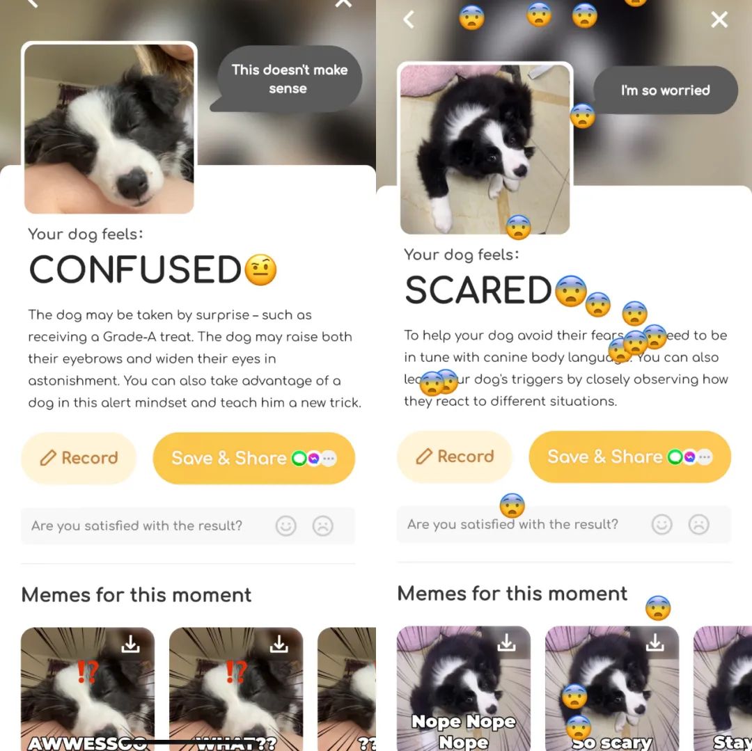 百度进军日本市场,百度又有什么新动作