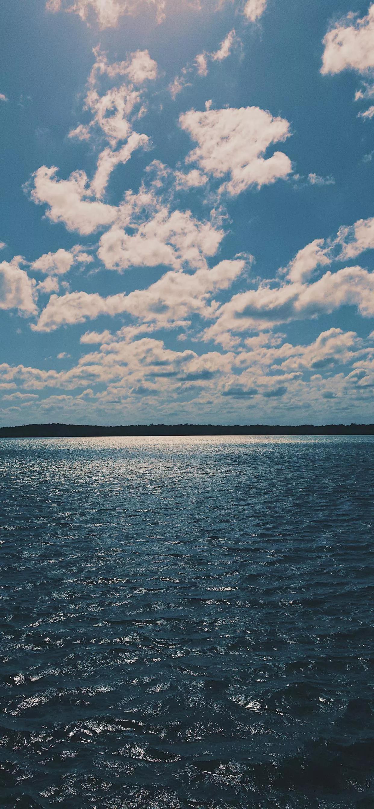 春天清新壁纸图片大全,手机壁纸春天风景超清