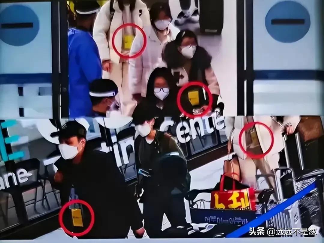 去韩国济州岛不好玩吗,欢迎中国游客来济州岛