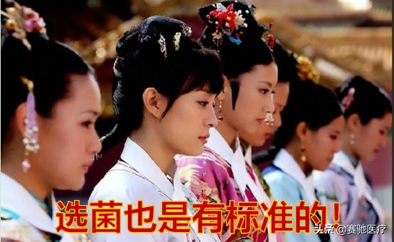 《小菌管，大讲究》系列2：后宫·菌种传——想要验你真的好难