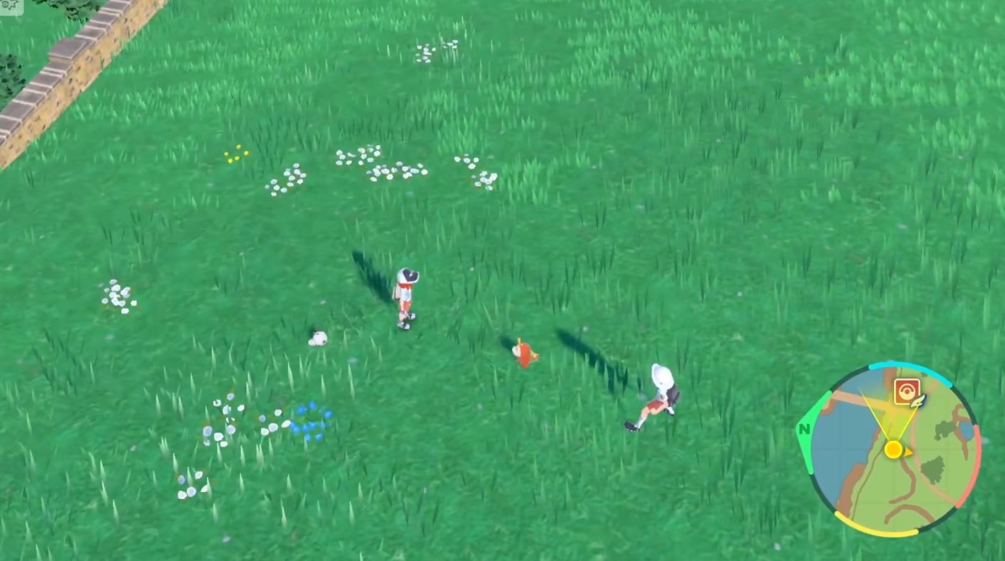 宝可梦朱紫御三家最终进化形态,快乐的ppt