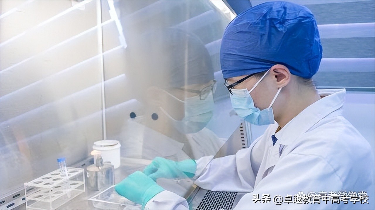 目前就业率较高的专业有哪些,就业率最高的十大专业有哪些