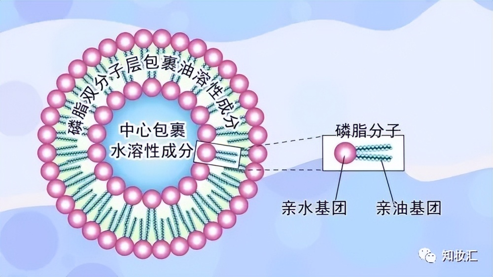 什么样的面膜是增稠剂,怎样的面膜有增稠剂